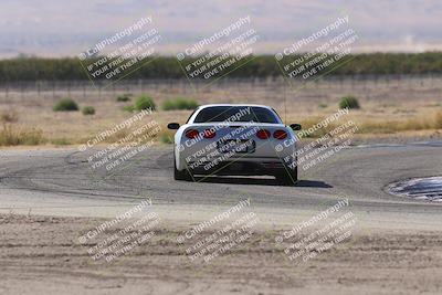 media/Oct-04-2025-OnGrid (Sat) [[44bd565ffa]]/Purple Group/Grapevine/